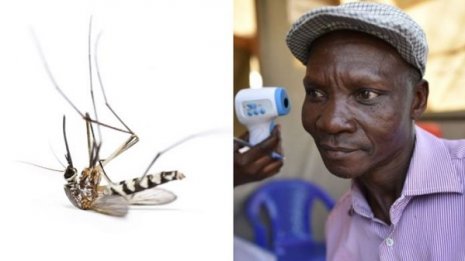 本当に？ その48歳男性の“おなら”は半径6m以内の蚊を殺す