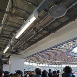 殺人的な寒さ 新国立競技場お披露目で分かった“3つの欠陥”