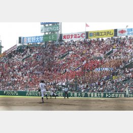 甲子園球場は4万7000人の観客が入る（Ｃ）日刊ゲンダイ