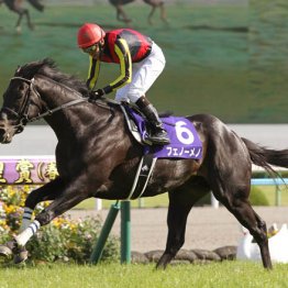 馬券生活5年で3億8971万円！ プロ馬券師の「稼ぎの神髄」