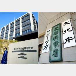 内閣官房や内閣府、文科省などの部署約９７％に「問題」／（Ｃ）日刊ゲンダイ