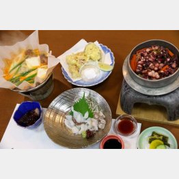 さまざまな食感、味つけのタコ料理（登喜将）／（Ｃ）日刊ゲンダイ