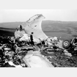 伊豆大島の三原山に墜落したもく星号の残骸（1952年4月10日）／（Ｃ）共同通信社