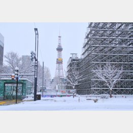 今年は開催されるのか（雪まつり準備の様子）