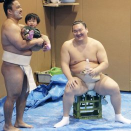 宮城野部屋ケンカ騒動 白鵬と親方の“ボス二重構造”に原因