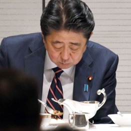 米国牛から国産牛の600倍の女性ホルモン「牛脂」は要注意