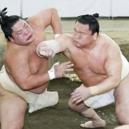 白鵬が横審へ宣戦布告 稽古総見で堂々の“居直りエルボー”