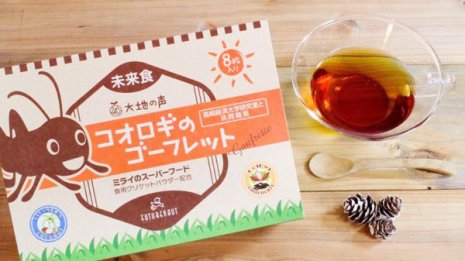 昆虫食広がる?大学生が仕掛けた「コオロギ菓子」誕生秘話