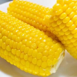 知らずに大量に食べている遺伝子組み換え穀物の危ない事実