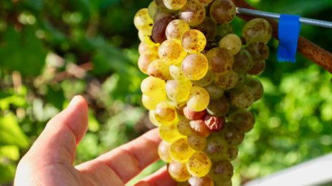 賢治とワインのまち 岩手県花巻市でのんびり冬のシニア旅