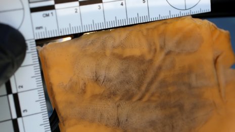 車にチーズ張り付け! 相次ぐ迷惑行為の“証拠”はあるが…