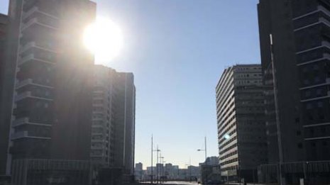 警備都合で草木ゼロ「おもてなし」には程遠い選手村の実態