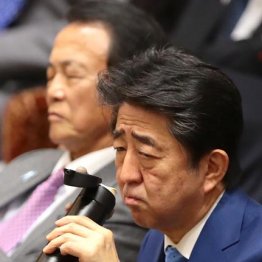 桜質疑にウソつき連発でブチ切れ 安倍首相の呆れた幼児性