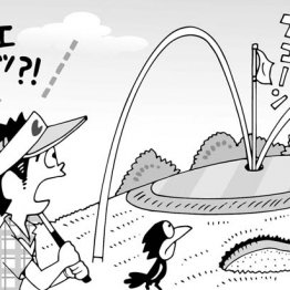 カップインしたボールが飛び出てOBエリアに飛び込んだ