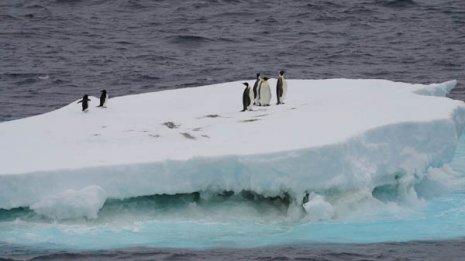 南極で18.3度? 過去最高気温更新か=WMO情報精査へ