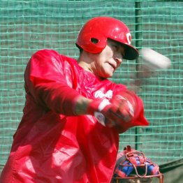 前田智徳の最新情報 ニュース 日刊ゲンダイdigital 前田智徳の最新情報 ニュース 日刊ゲンダイdigital