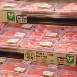 なぜ日本の消費者は「食の安全」に関して無頓着なのか？