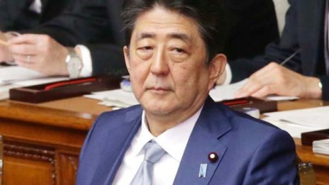 最大の国難は首相の幼児性 批判を「罵詈雑言」とは驚いた