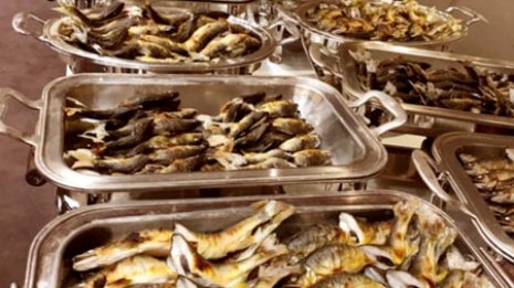 これぞ鮎の甲子園! 高知の9月「利き鮎会」は熱気ムンムン