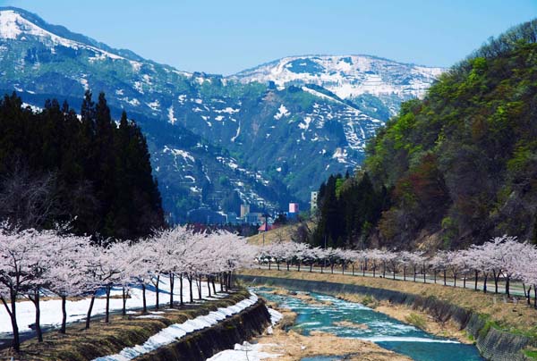 筆者が約6年間暮らした越後湯沢の美しい春（提供写真）