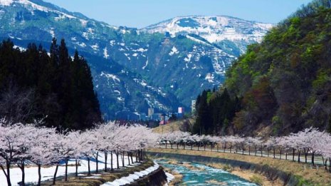 夢の田舎暮らし最大の課題…現地で職探しの超厳しい現実