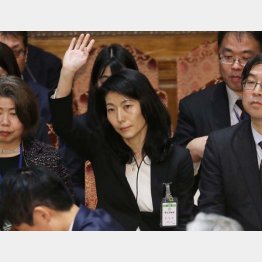 参議院予算委員会に出席した大坪寛子大臣官房審議官（Ｃ）日刊ゲンダイ