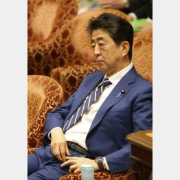 信用できないから書面提出を求めているのに…（17日、衆院予算委での安倍首相）／（Ｃ）日刊ゲンダイ