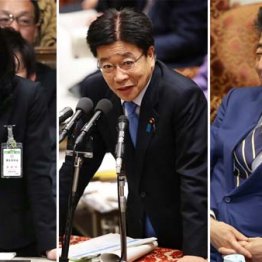 新型肺炎の三馬鹿トリオ 引きずり降ろさなければ危機拡大