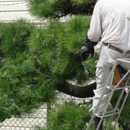 退職2カ月で図書館やジムに飽きてシルバーセンターに登録