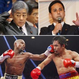 自公議員2人にIR接待疑惑 米業者の招待でボクシング観戦か