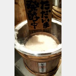 入り口の樽で麹を発酵（Ｃ）日刊ゲンダイ