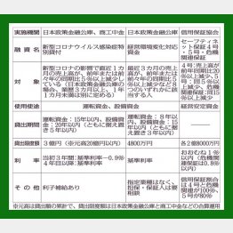 民間で借りるのが難しいケースでも融資を受けられる可能性が（Ｃ）日刊ゲンダイ