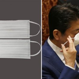 中国が“輸出解禁” マスク不足は政府配布が届く前に解消か