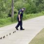 癒やされる…警官が迷子の子ガモを母親の元に先導する動画