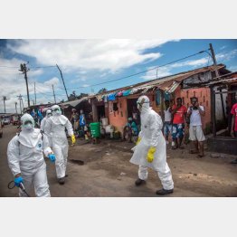 エボラ出血熱の流行のときは…（リベリアの首都モンロビアで、エボラ出血熱対策のため活動する赤十字職員）／（Ｃ）ゲッティ＝共同