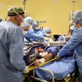 “武漢型”コロナ終息も強毒化の懸念…感染研「変異」を発表