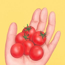 プランターを愛でる生活 園芸家・深町貴子にコツを聞いた