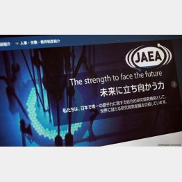 JAEA（日本原子力研究開発機構）の公式HP