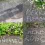 「雑草」じゃない！ 英仏で路上に植物名書く運動が拡大中