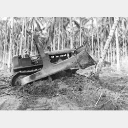 ソロモン諸島ガダルカナル島で、ヤシ林をなぎ倒して道路を建設する米軍のブルドーザー。人の力なら何週間もかかる仕事をあっという間にやってのけた（1943年2月）／（Ｃ）共同通信社