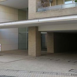 コロナ帰国で覚醒剤を密輸したハーフ女子大生のセレブぶり