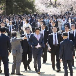 命運尽きた安倍首相 逮捕か総辞職か野垂れ死にか