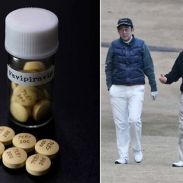 安倍首相が承認に前のめり “アベ友薬”アビガンに黄信号