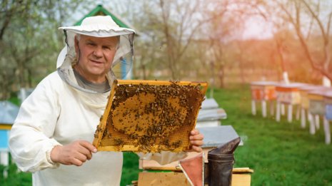 コロナ禍で最高の状態に！今年は蜂蜜のゴールデン・イヤー