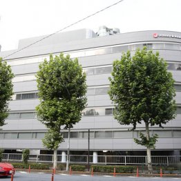 手越祐也がジャニーズ退所決意「知名度生かし実業家に」