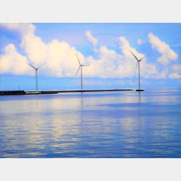 風力発電が海の中に並ぶ（提供写真）