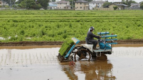 福島第一避難指示区域 除染せず解除は「国の責務」と矛盾