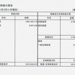 持続化給付金「サ推協」決算公告は中身スカスカのデタラメ