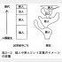 三井誠著「人類進化の700万年 書き換えられる『ヒトの起源』」（講談社現代新書）から