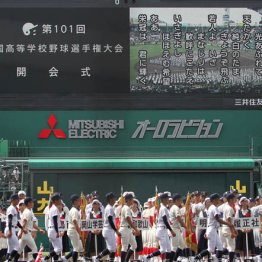甲子園交流戦は高野連のアリバイ作り 夏大会できたのでは